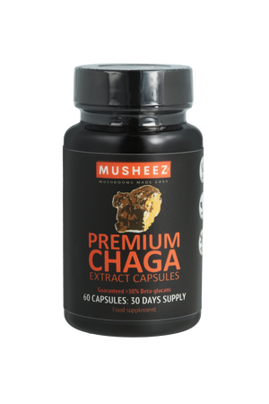 
                  
                    Premium Chaga Capsules
                  
                